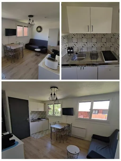 Le Thicha Alpe D'Huez Gd Domaine Allemond Thilucha Apartment Allemont